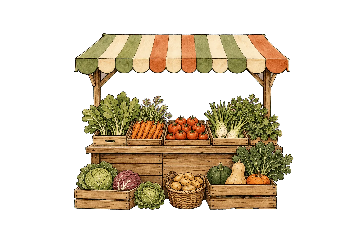 Marktstand mit Markise und Gemüsekisten – Illustration